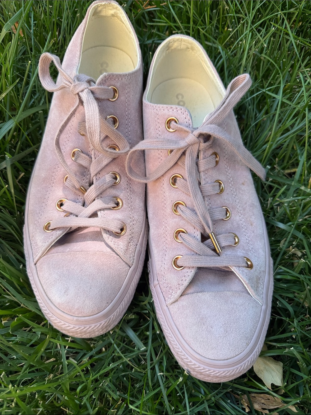 Converse Chuck Taylor, All Star, Women's Mauve Suede Low-Top Sneakers